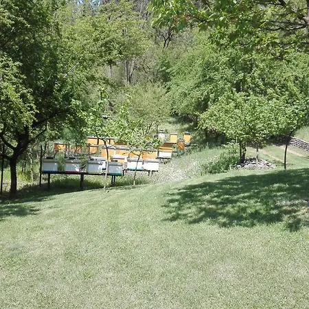 בית נופש Vikend Kuca Maksimovic Mataruska Banja