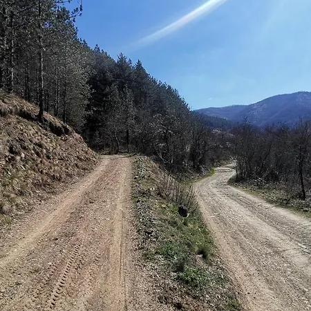 Vikend Kuca Maksimovic * Mataruska Banja